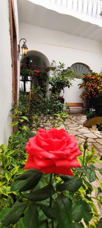 Hotel El Jardin De La Abuela Querétaro Esterno foto