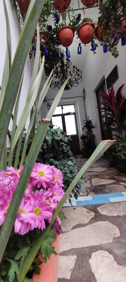 Hotel El Jardin De La Abuela Querétaro Esterno foto