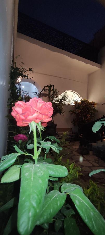 Hotel El Jardin De La Abuela Querétaro Esterno foto